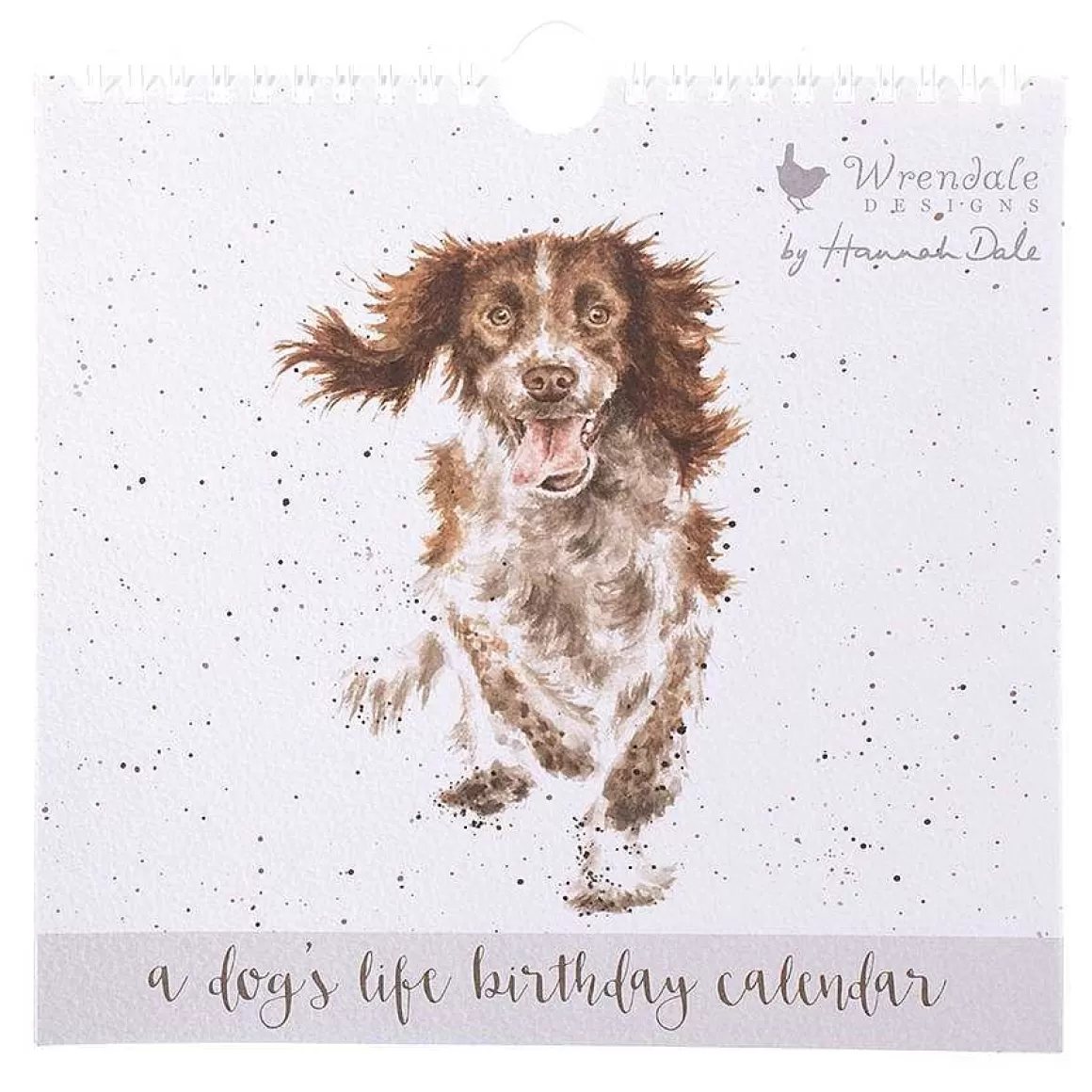 Online Wrendale Designs A Dog'S Life' Dog Birthday Calendar