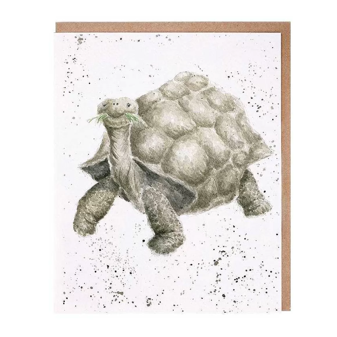 Best Sale Wrendale Designs Aged To Perfection' Tortoise Card