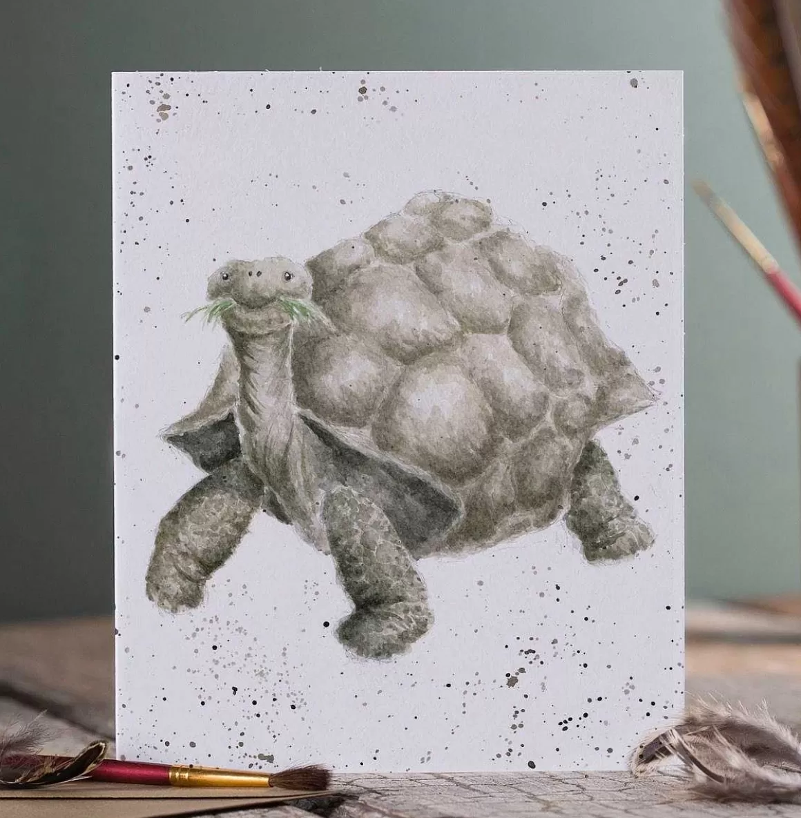 Best Sale Wrendale Designs Aged To Perfection' Tortoise Card