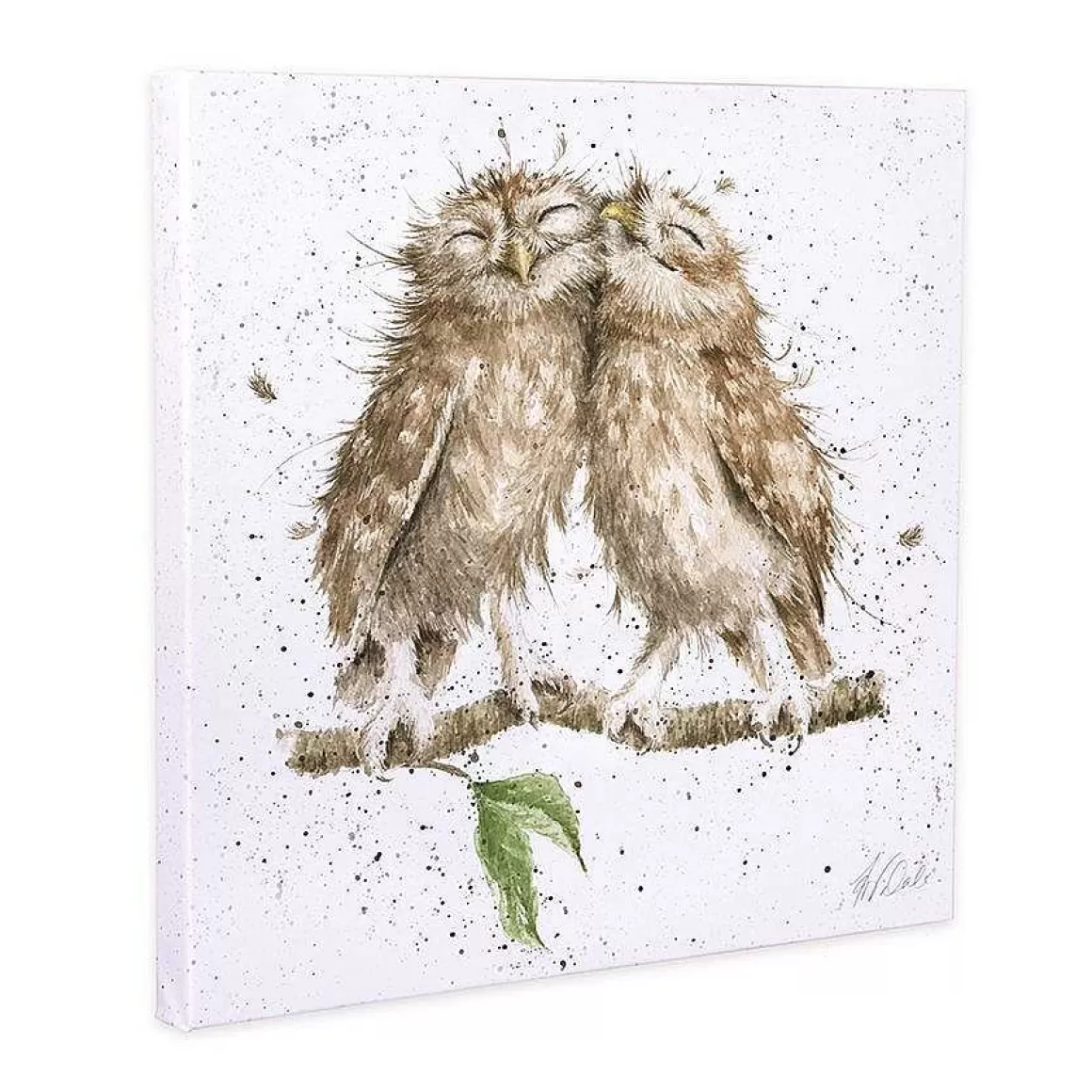 Clearance Wrendale Designs Birds Of A Feather' Owl Canvas