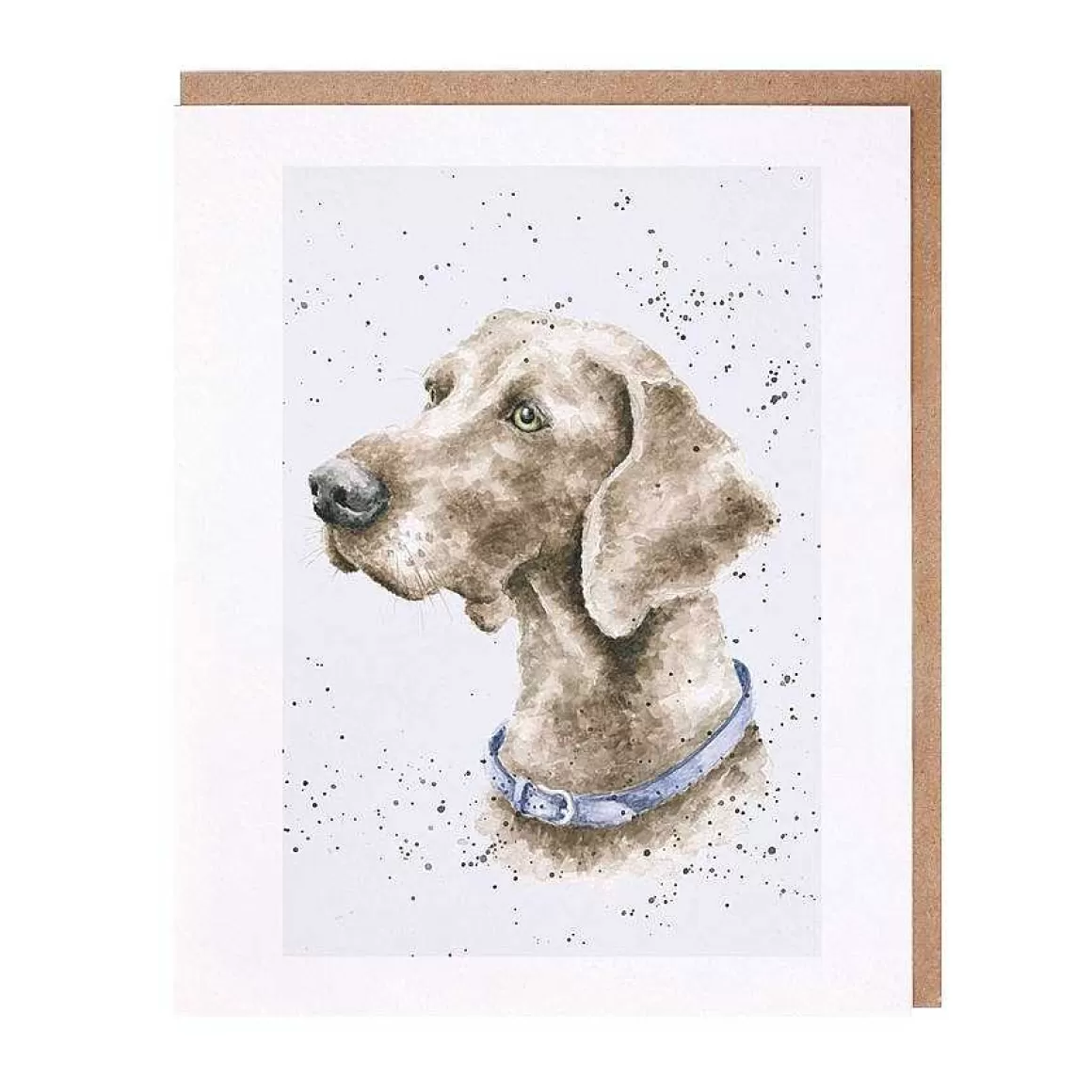 Best Sale Wrendale Designs Casper' Weimaraner Card