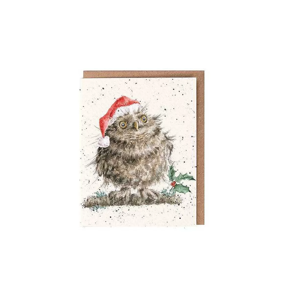 Best Sale Wrendale Designs Christmas Owl' Owl Enclosure Card