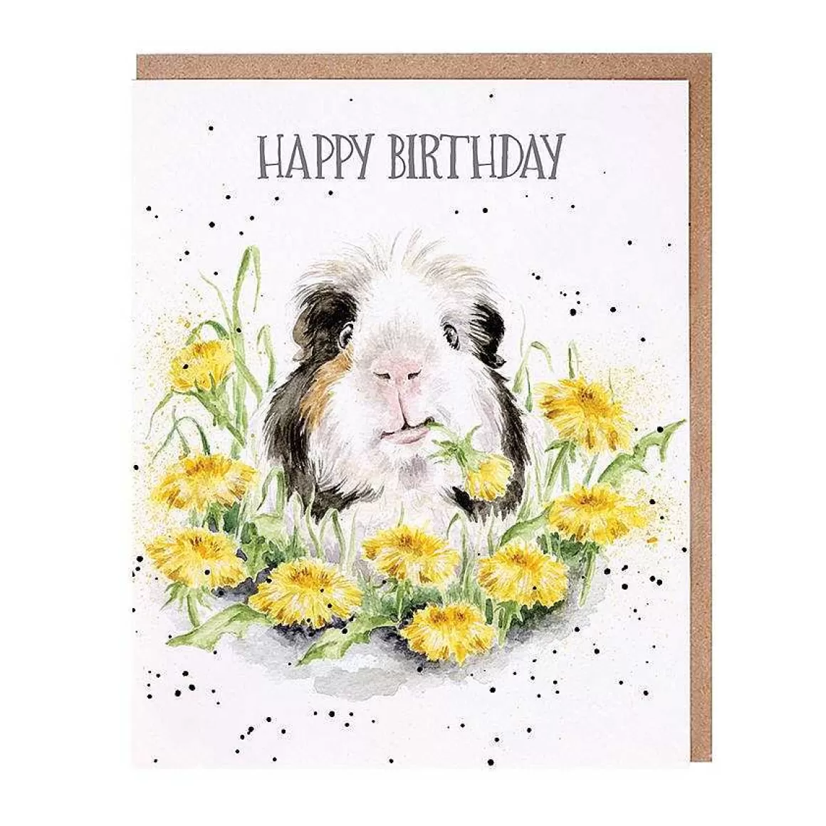 Best Wrendale Designs Dandy Day' Guinea Pig Birthday Card