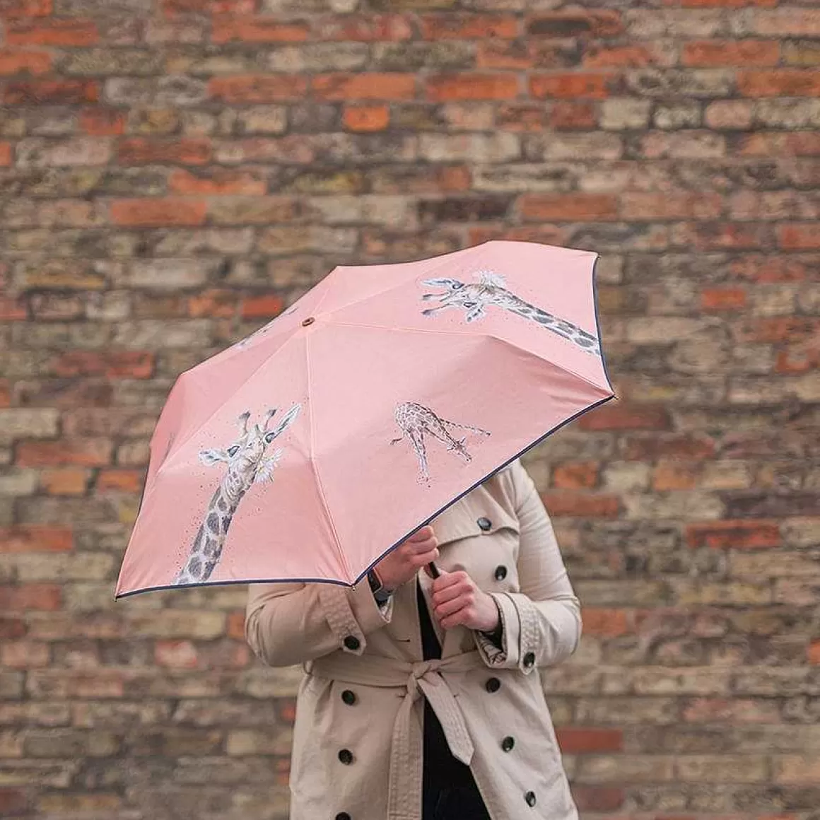 Online Wrendale Designs Flowers' Giraffe Umbrella