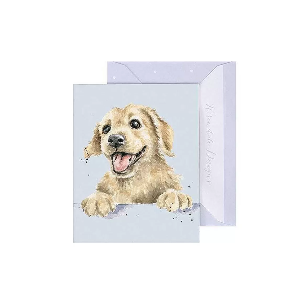 Store Wrendale Designs Golden Boy' Labrador Enclosure Card