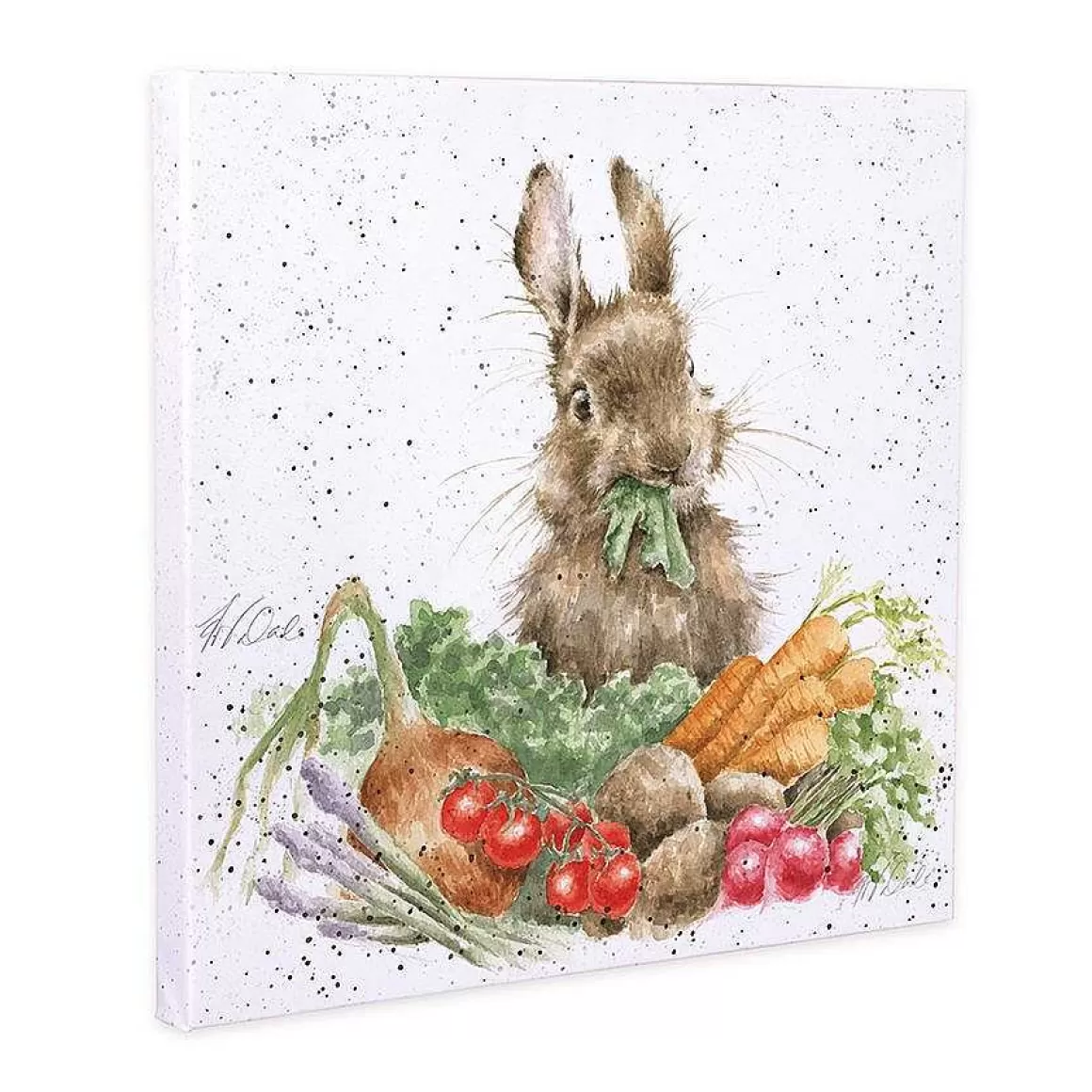 Clearance Wrendale Designs Grow Your Own' Rabbit Canvas