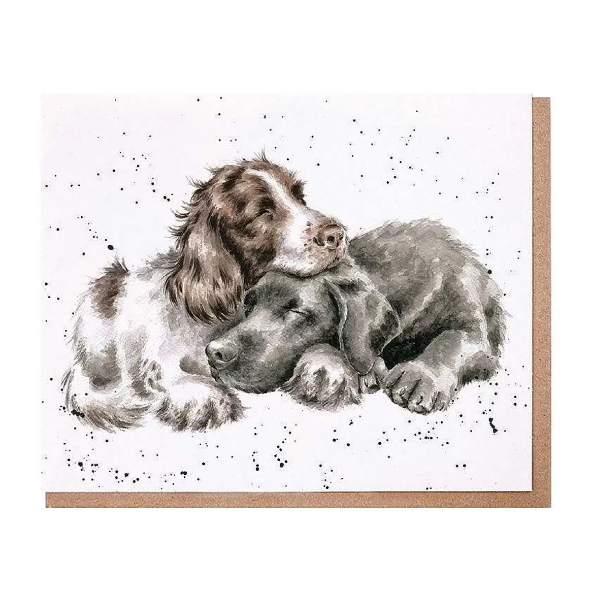 Best Sale Wrendale Designs Growing Old Together' Spaniel & Labrador Card