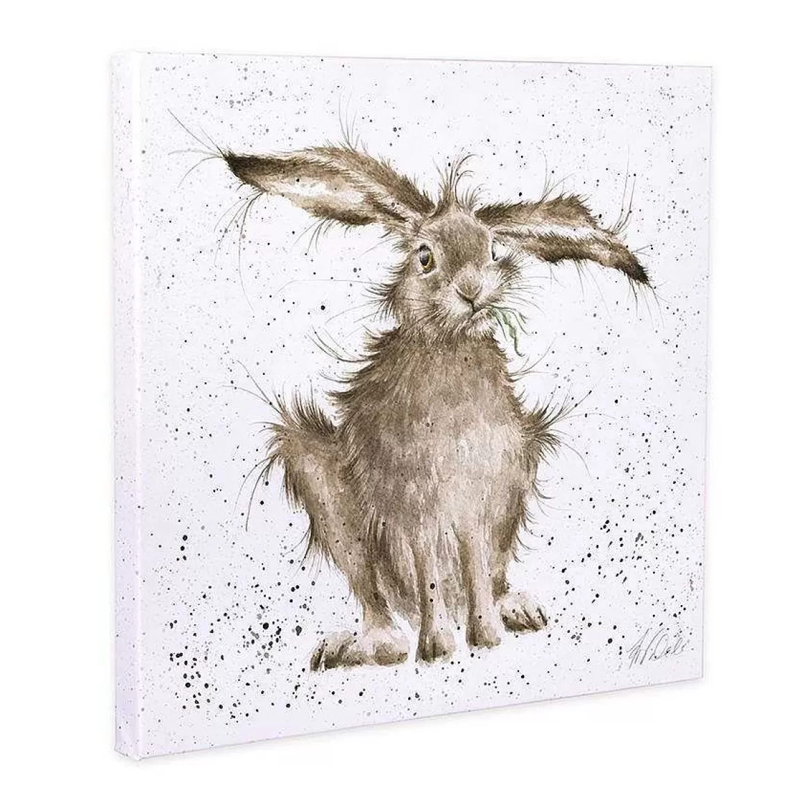 Cheap Wrendale Designs Hare Brained' Hare Canvas