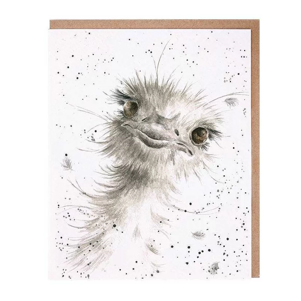 Cheap Wrendale Designs Hello Boys' Ostrich Card