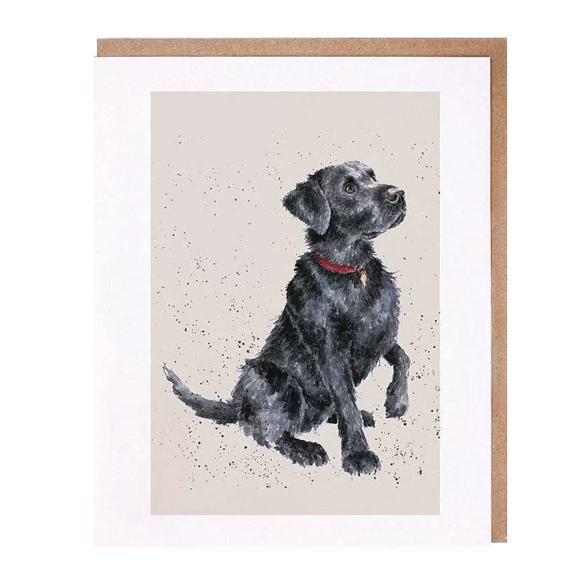 Best Sale Wrendale Designs Jack' Labrador Card