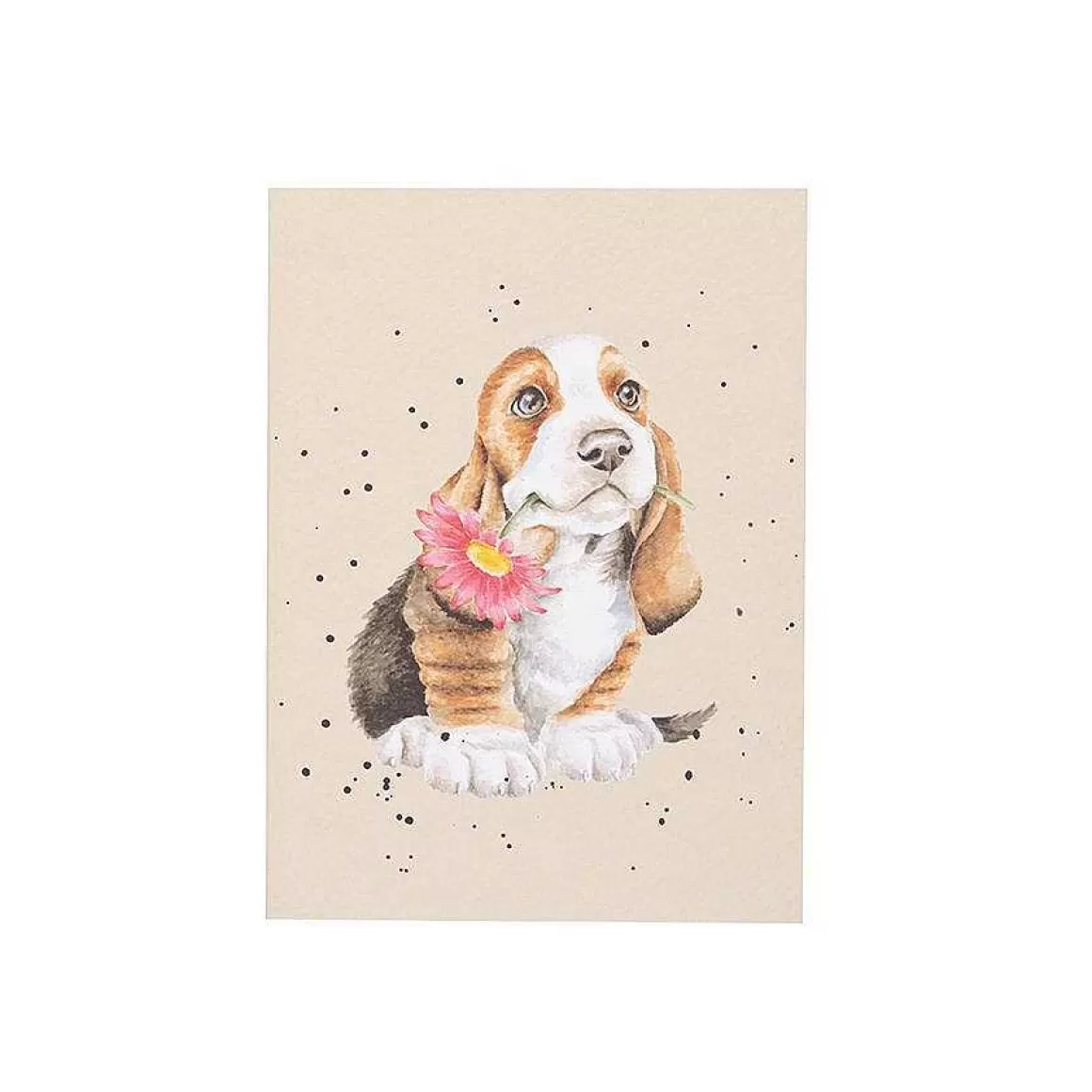 Best Wrendale Designs Just For You' Basset Hound Small Notebook