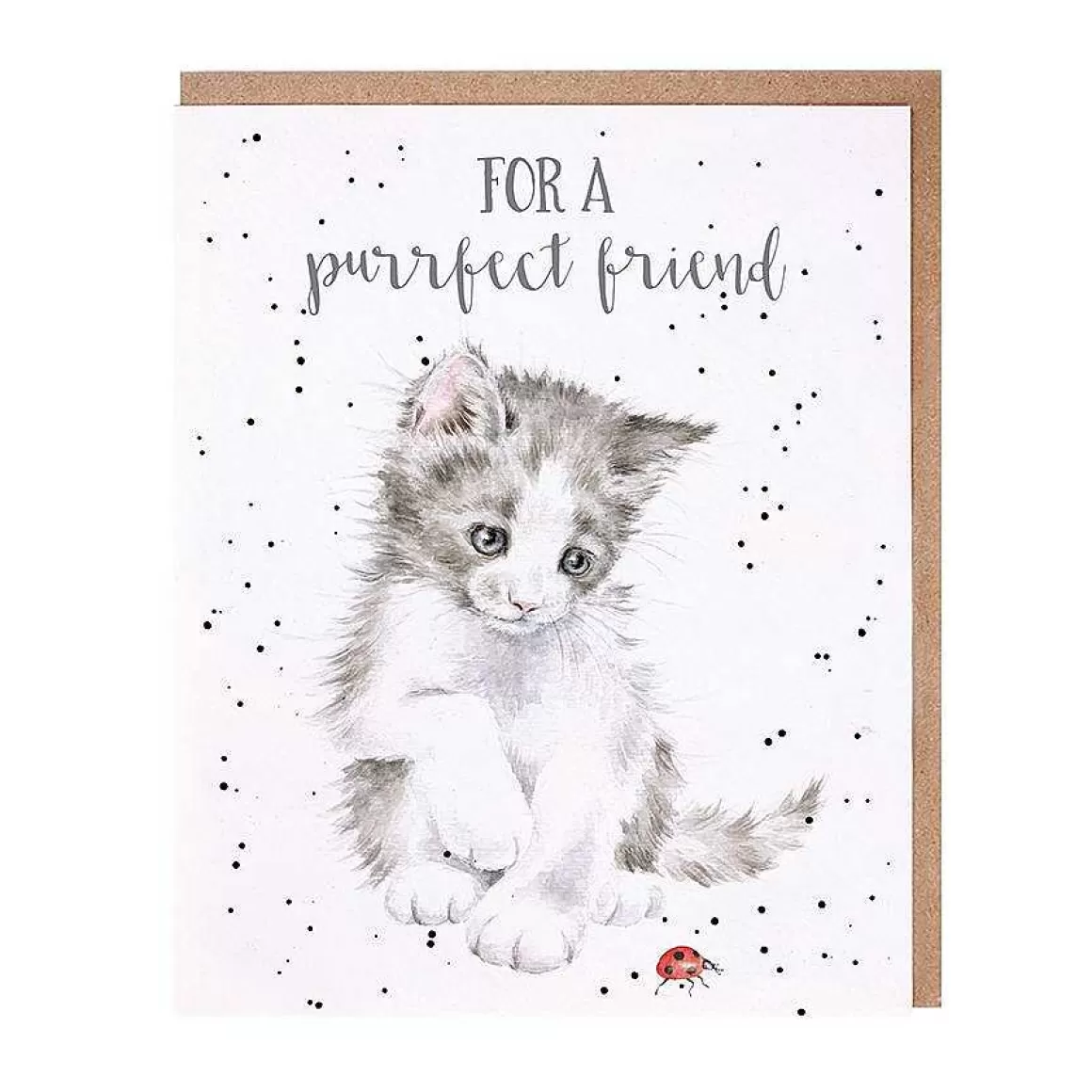 Sale Wrendale Designs Ladybird' Cat Friendship Card