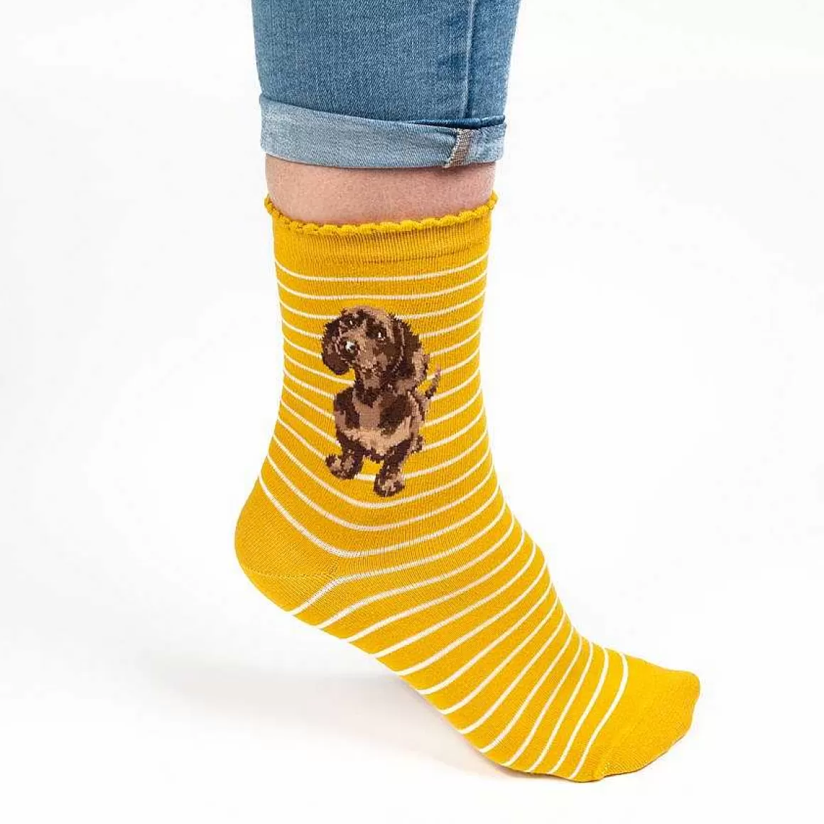 Clearance Wrendale Designs Little One' Dachshund Socks