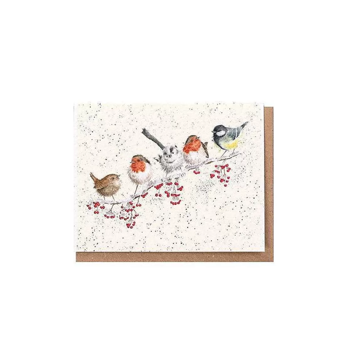 New Wrendale Designs One Snowy Day' Bird Enclosure Card