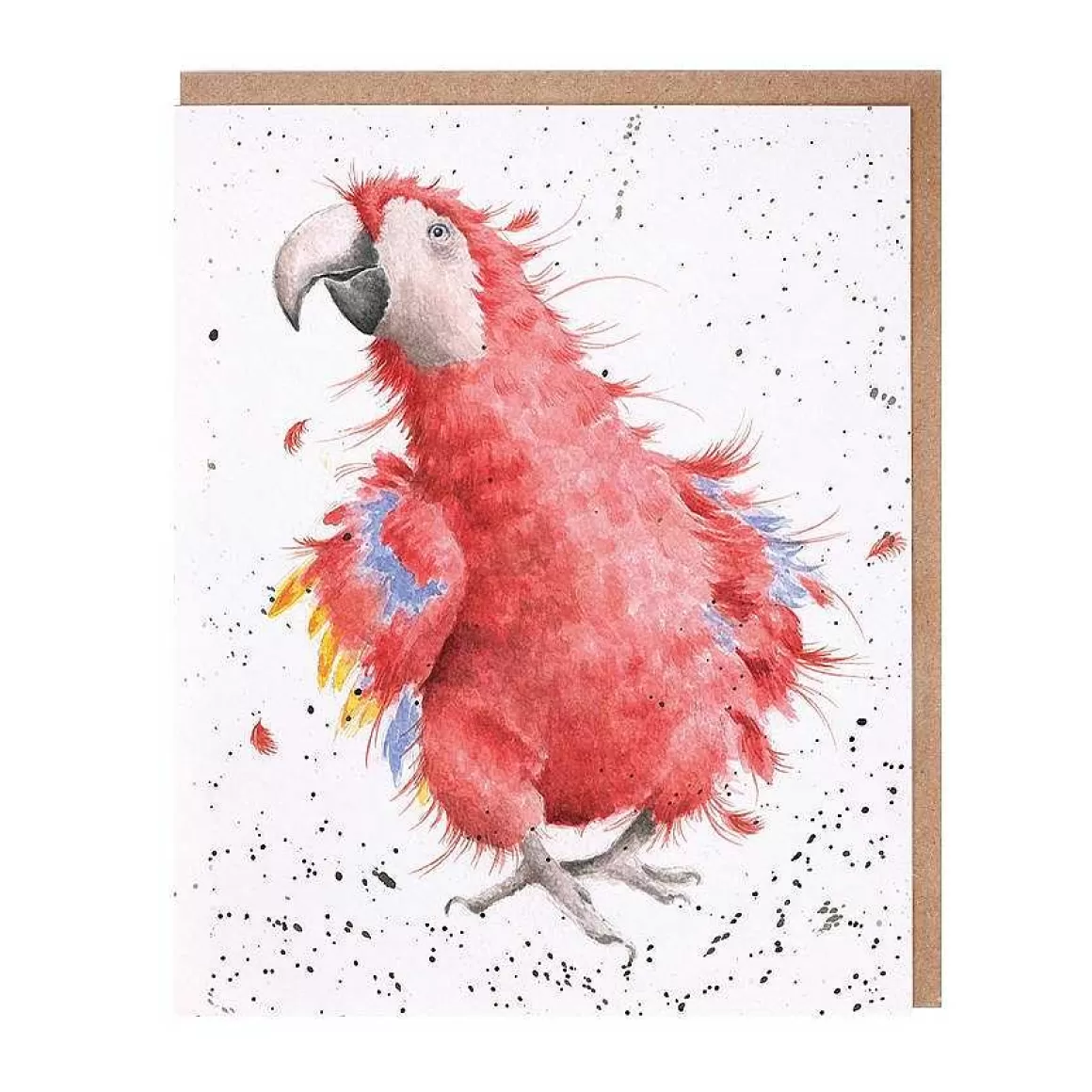 Cheap Wrendale Designs Parrot On Parade' Parrot Card