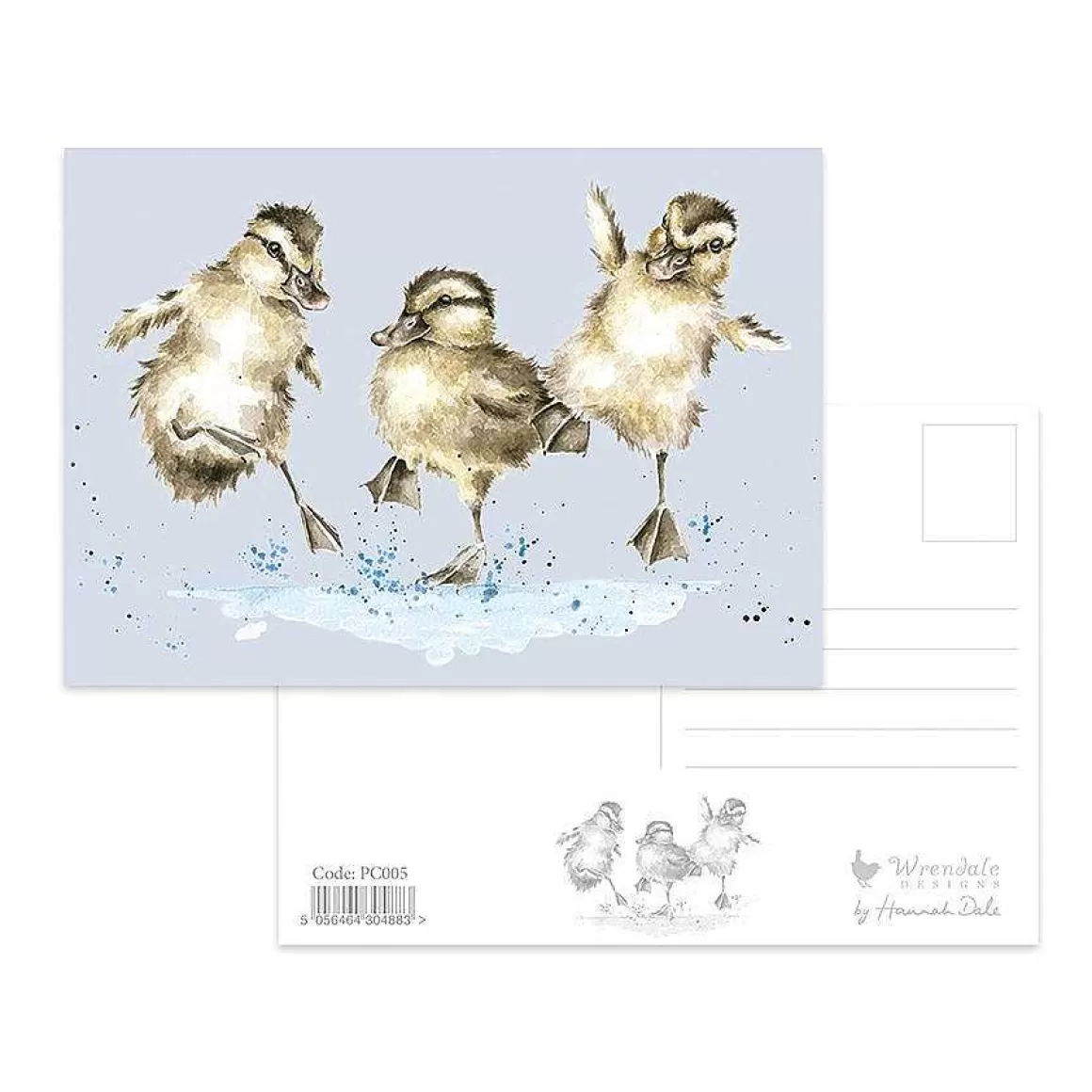 Clearance Wrendale Designs Puddle Ducks' Postcard