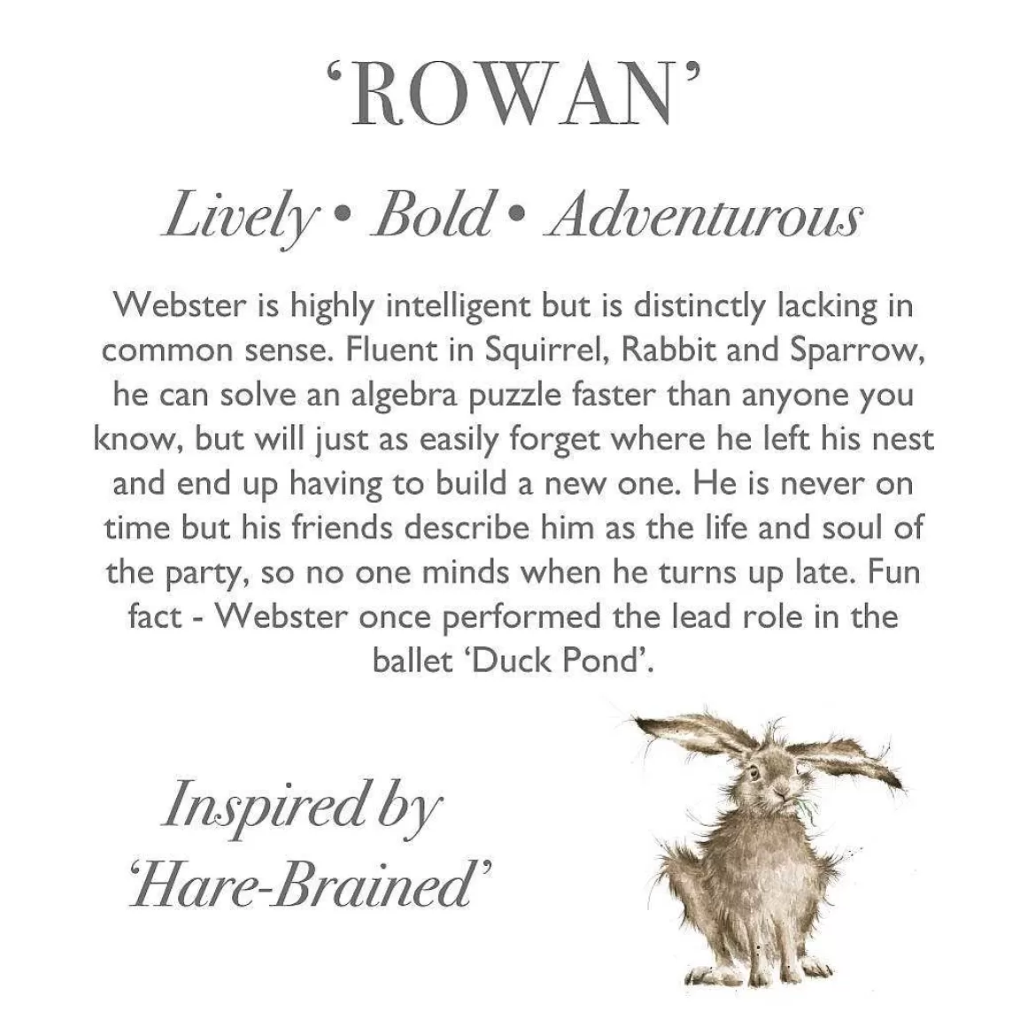 New Wrendale Designs Rowan' Hare Character