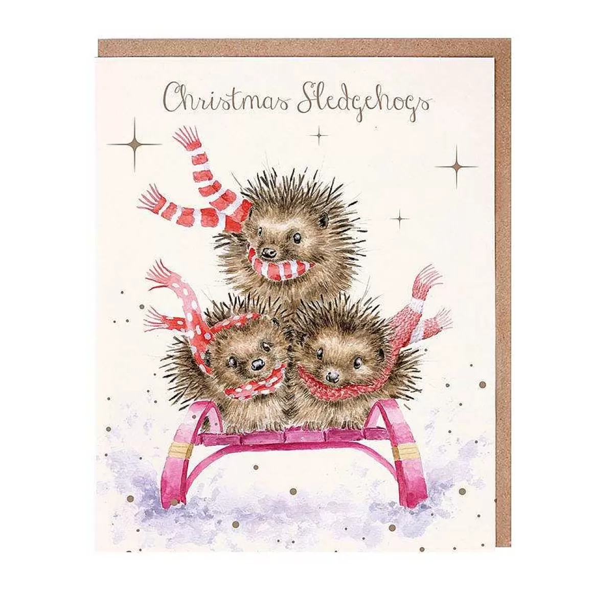 Best Wrendale Designs Sledgehogs' Hedgehog Christmas Card Pack