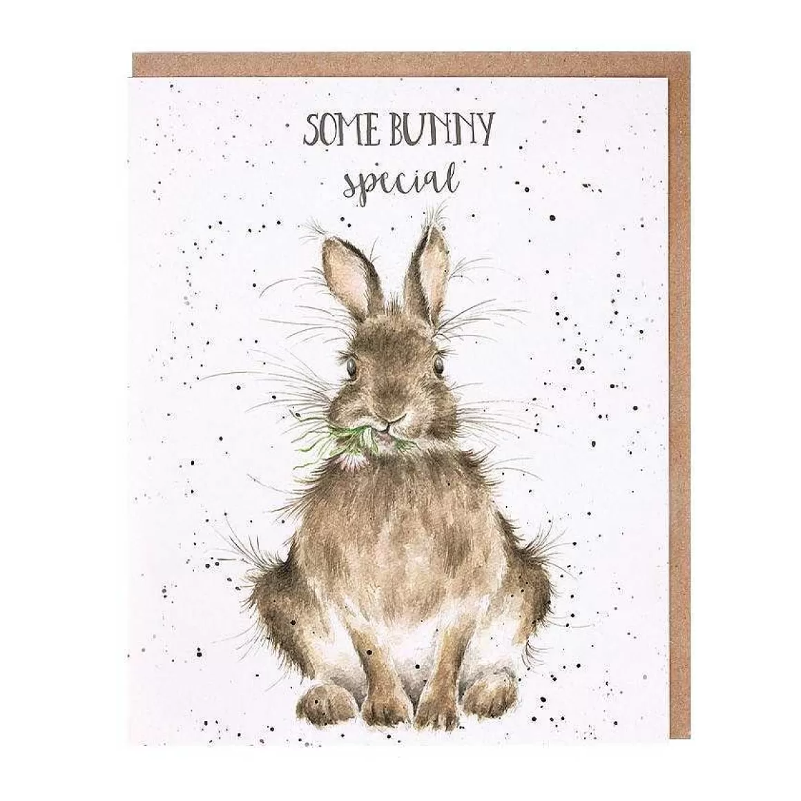 Fashion Wrendale Designs Some Bunny Special' Rabbit With Love Card