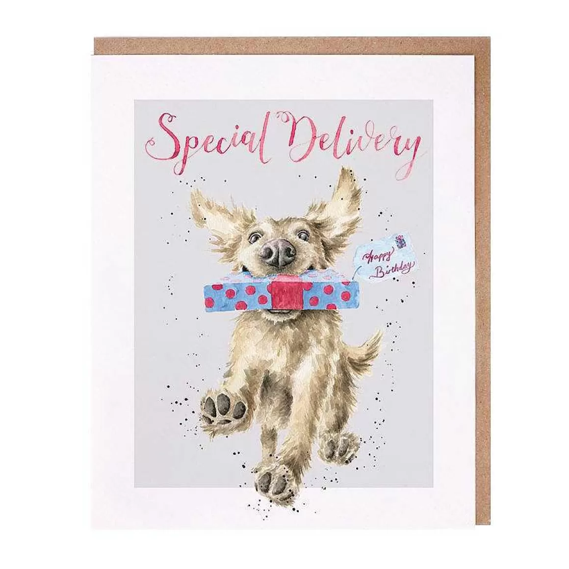 Outlet Wrendale Designs Special Delivery' Golden Retriever Birthday Card