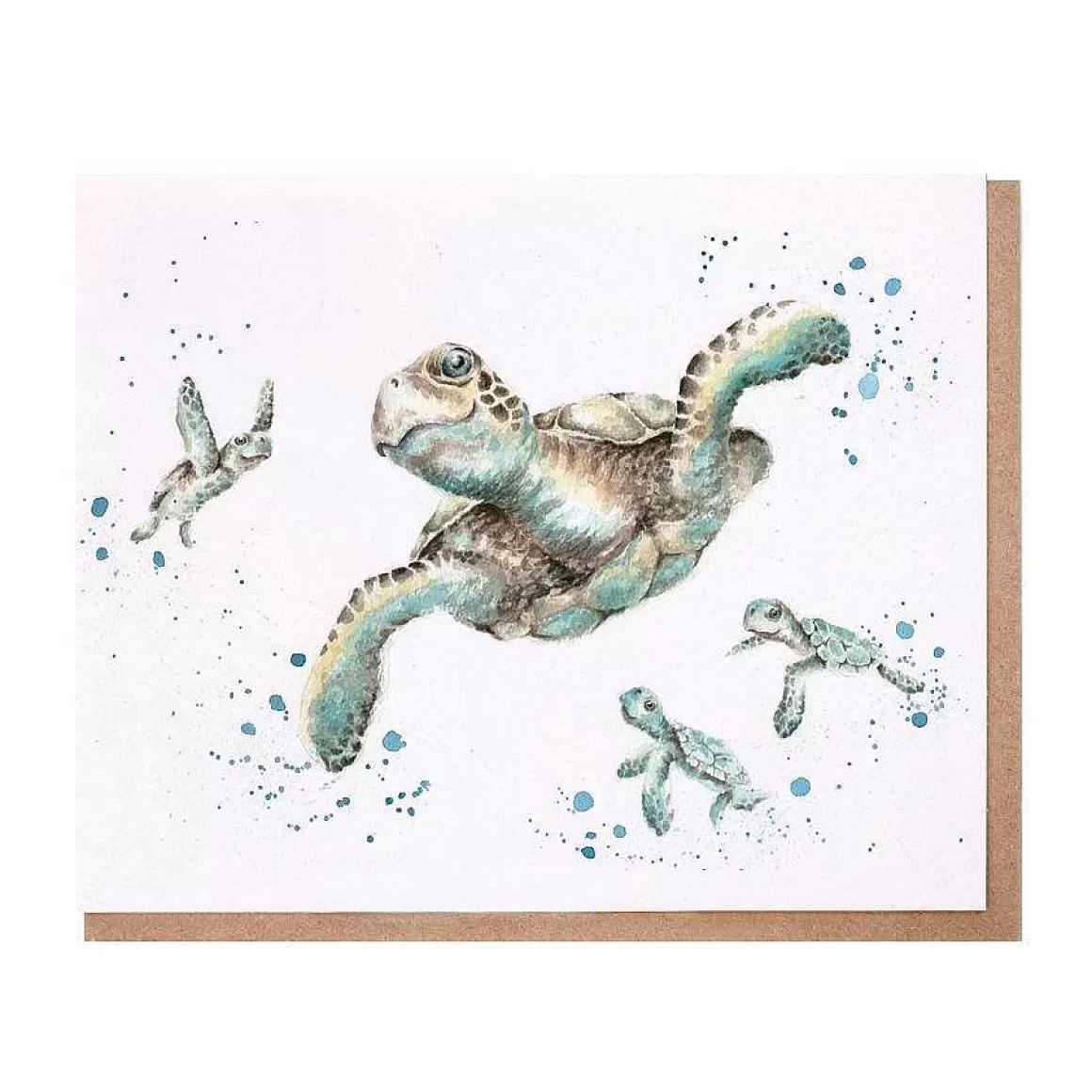 Cheap Wrendale Designs Swimming School' Turtle Card