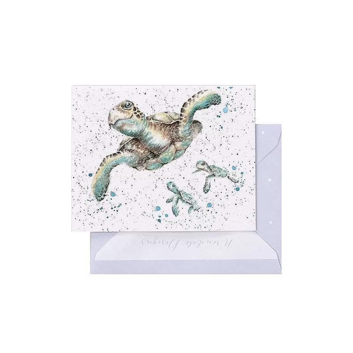 Online Wrendale Designs Swimming School' Turtle Enclosure Card