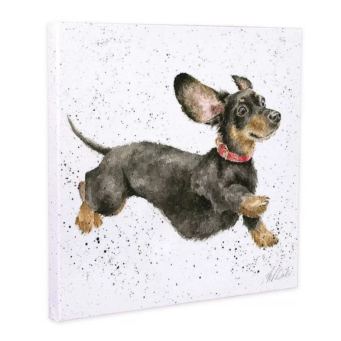 Clearance Wrendale Designs That Friday Feeling' Dachshund Canvas