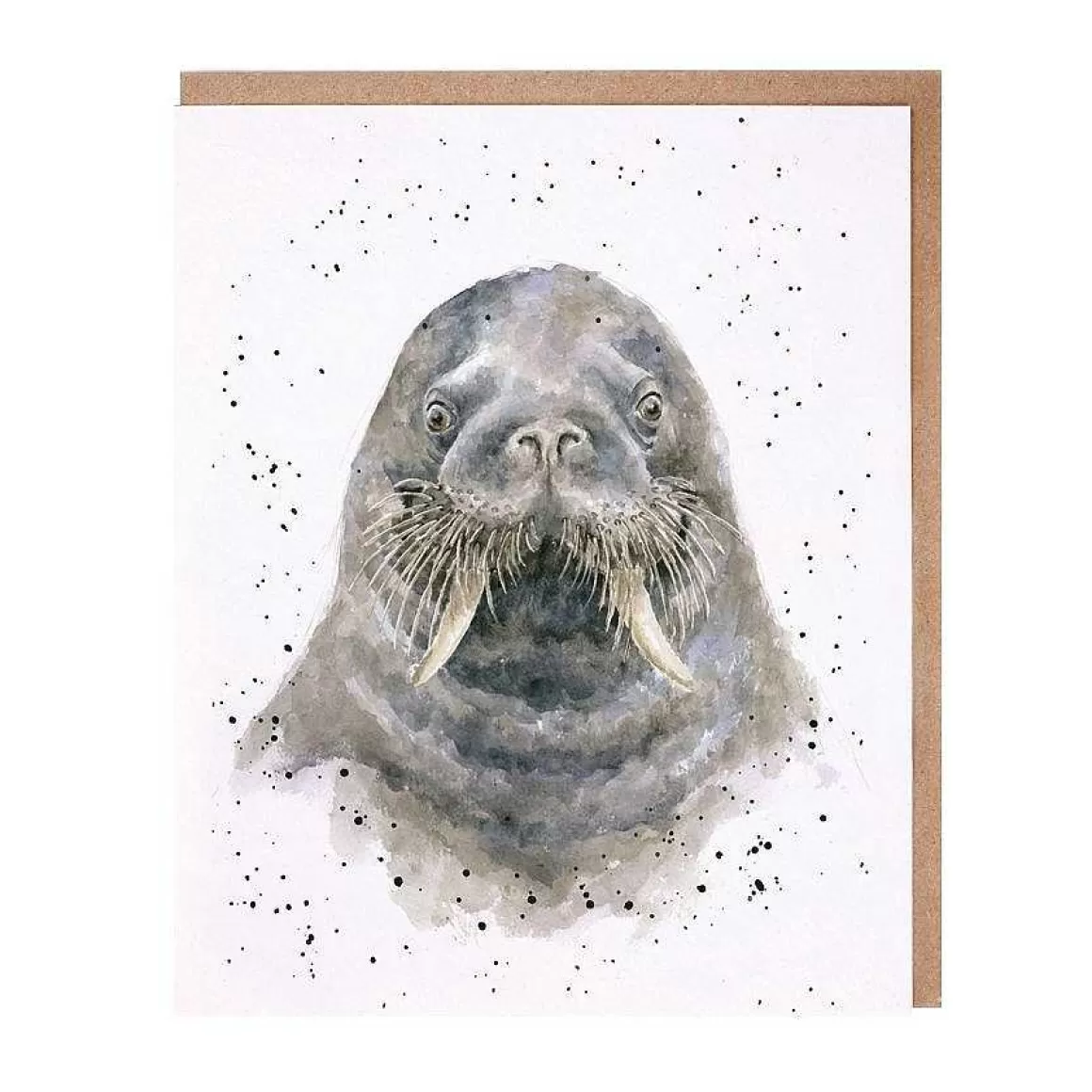 New Wrendale Designs The Fisherman' Walrus Card