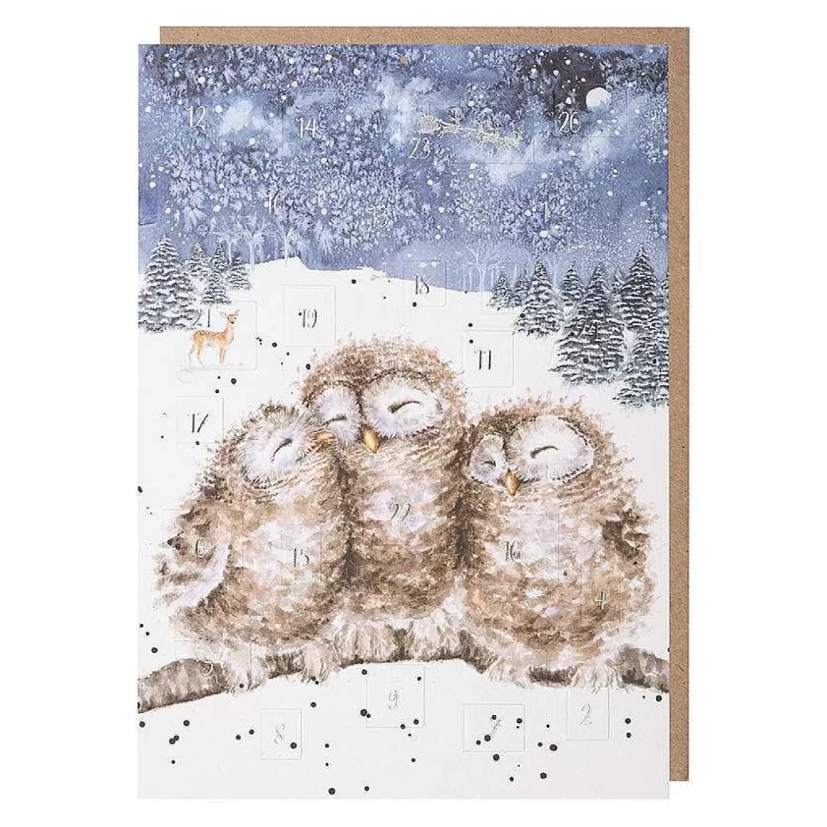 Discount Wrendale Designs Three Wise Men' Owl Advent Calendar