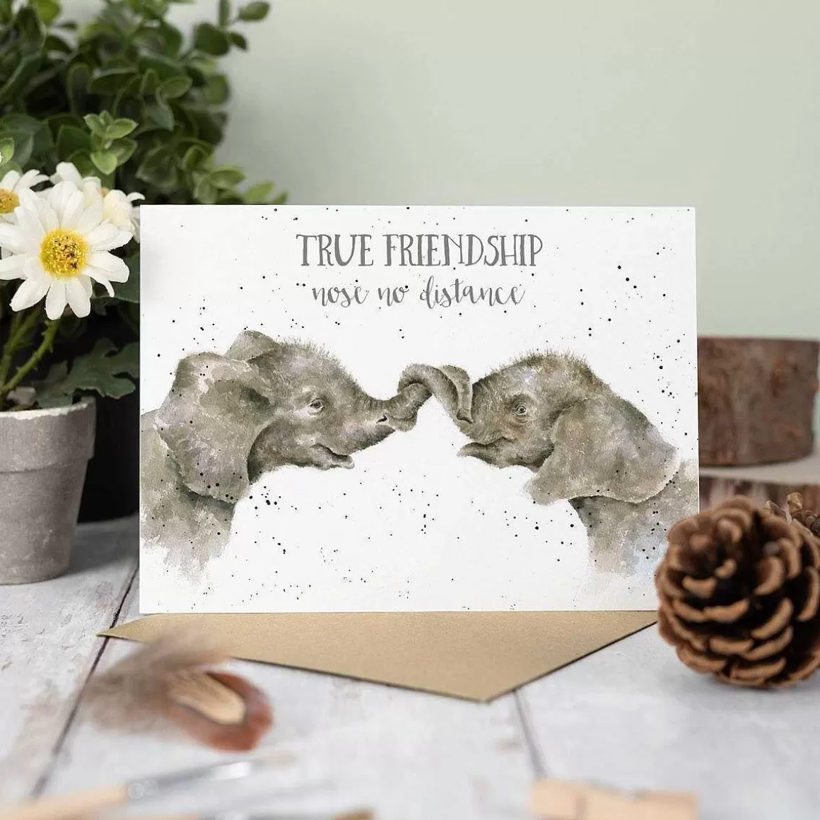 New Wrendale Designs True Friendship' Elephant Friendship Card