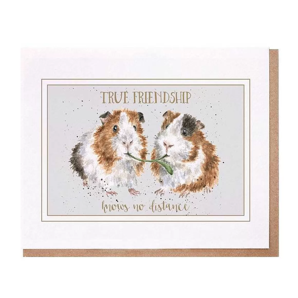 Outlet Wrendale Designs True Friendship' Guinea Pig Card